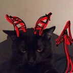 asttaroth Profile Picture