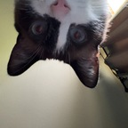 mewcute Profile Picture