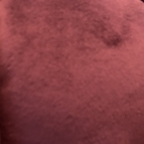 mollymoon Profile Picture