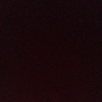 monee Profile Picture