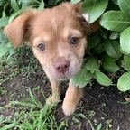 onlyarchie Profile Picture