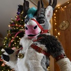 spicyvenison Profile Picture