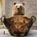 teddysucc Profile Picture